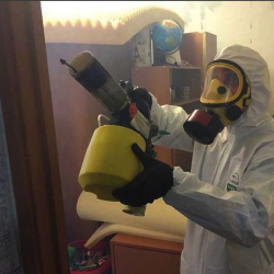 Уничтожение клопов в квартире. Выборгская